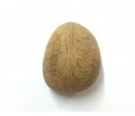 Whole Farm Premium Dried Coconut /Gari Gola -120g-140g - Image 2