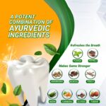 Patanjali Dant Kanti Herbal Toothpaste 200g  (Free Dant Kanti Toothbrush inside) - Image 3